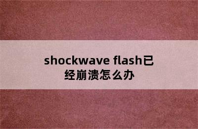 shockwave flash已经崩溃怎么办